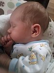 79b7ed3e70e69500m.jpg