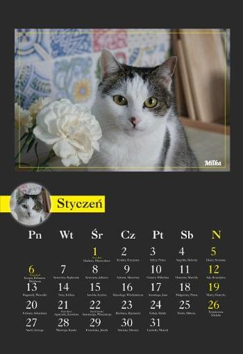 Obrazek