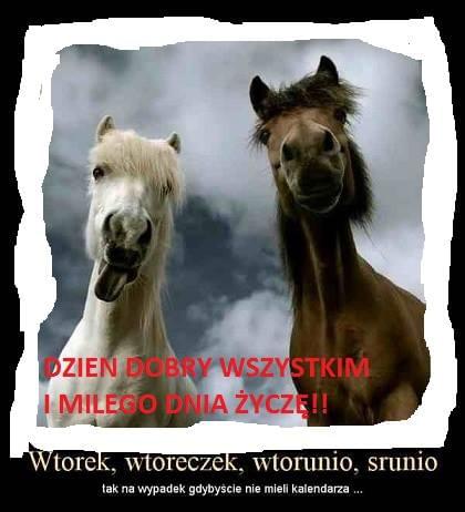 Obrazek