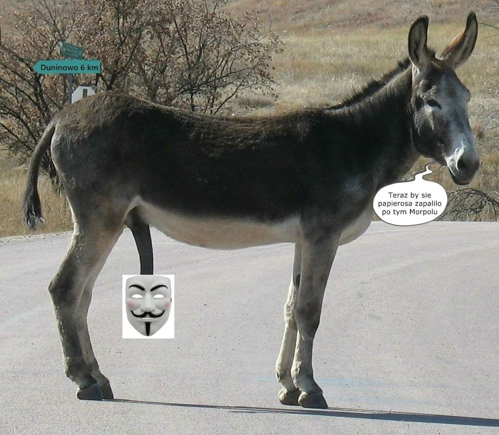 Obrazek