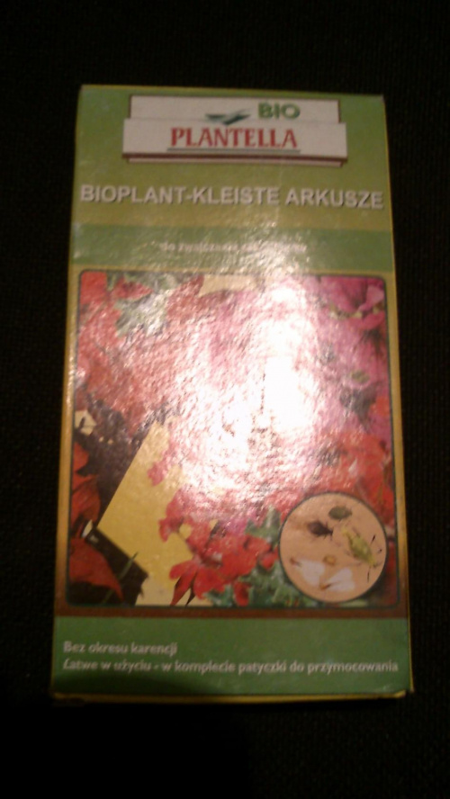 Obrazek