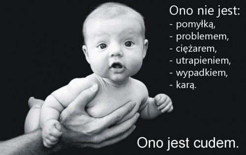 e7381b2946dc8037med.jpg