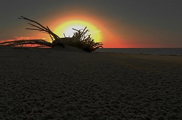 Przejście "Władcy Planety" przed tarczą "Gwiazdy Macierzystej" - tranzyt to? ;-) #przejście #słońce #zachód #tranzyt #sun #sunset