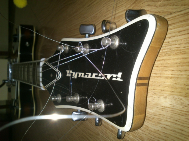 Gitara Dynacord