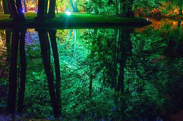 to odbicie zauroczyło mnie,drzewa wydawały się zatopione w głębinie #OdbicieWWodzie #drzewa #woda #NocneZdjęcia