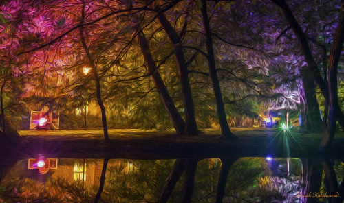 Park Oliwski nocą #Drzewa #kolor
