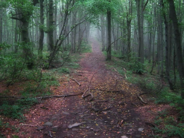 Bieszczady