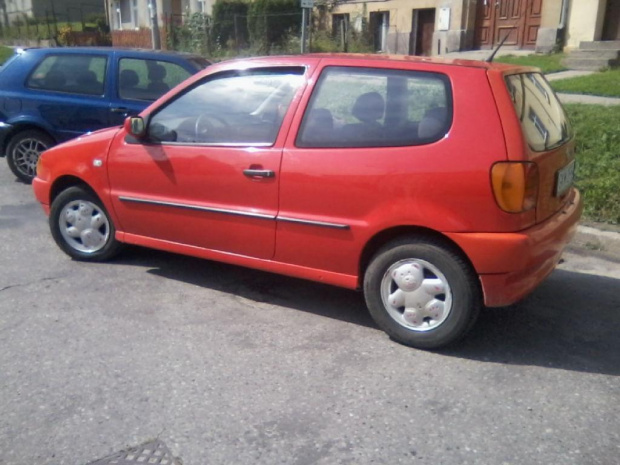 polo