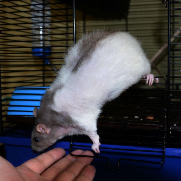 Moje Ciuraski - wrzesień 2013