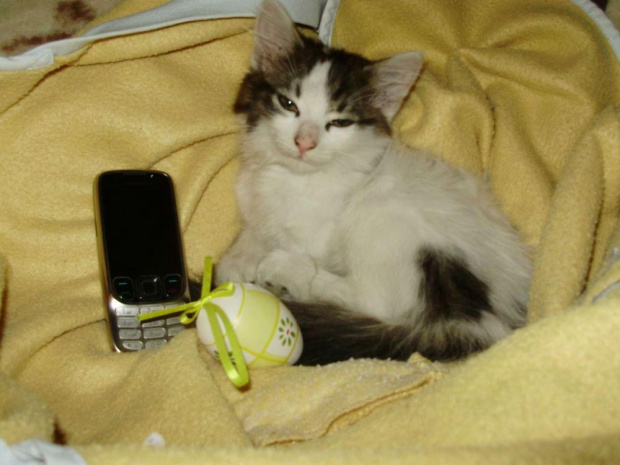 małe coś