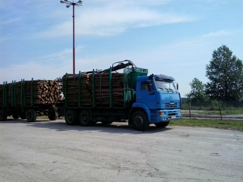transport drewna
