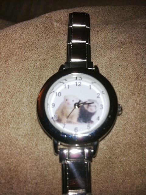 Zafrecony zegarek :) - wylicytujesz? Pomożesz Pimpusiowi :) #aukcja #fretkak #Pimpuś #SPF #zegarek