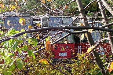 Cmentarzysko wozów #cmentarz #lubicz #toruń #tramwaje