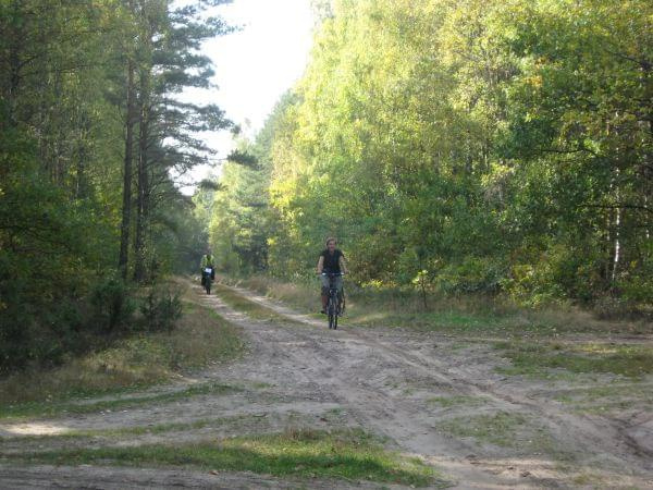 Puszcza Biała i kamieniecka