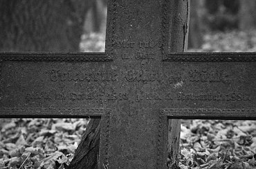 OPUSZCZONE CMENTARZE ZACHODNIEJ POLSKI #fotmart #WMoimObiektywie #wojtekwrzesien #święto #listopad #fotografia #zdjęcie #groby #cmentarzyk #Bodenhagen #Bagicz #FestungKolberg #kolberg #kołobrzeg #samotność #smutek #droga #krajobraz