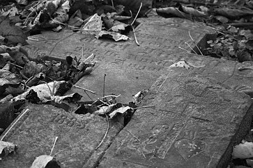 OPUSZCZONE CMENTARZE ZACHODNIEJ POLSKI #fotmart #WMoimObiektywie #wojtekwrzesien #święto #listopad #fotografia #zdjęcie #groby #cmentarzyk #Bodenhagen #Bagicz #FestungKolberg #kolberg #kołobrzeg #samotność #smutek #droga #krajobraz