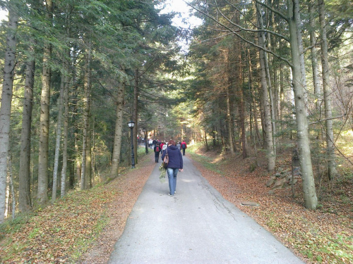 BieszczADY 2013 10 27 #BieszczADY