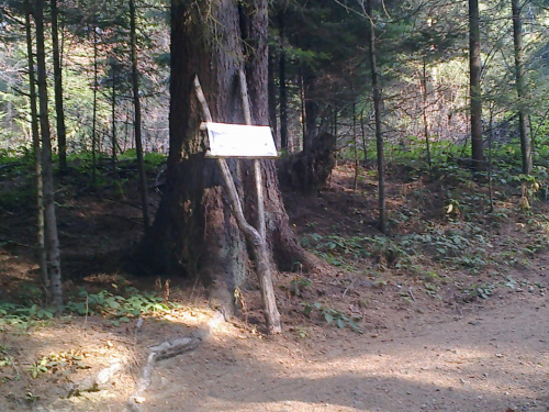 BieszczADY 2013 10 27 #BieszczADY