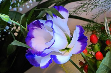 magisterskie #kwiaty #bukiety