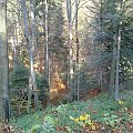 Mój pobyt w Iwoniczu Zdroju 2013 10 20 do 2013 11 13 #IwoniczZdrój