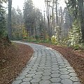 Mój pobyt w Iwoniczu Zdroju 2013 10 20 do 2013 11 13 #IwoniczZdrój