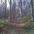 Mój pobyt w Iwoniczu Zdroju 2013 10 20 do 2013 11 13 #IwoniczZdrój