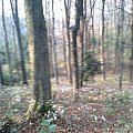 Mój pobyt w Iwoniczu Zdroju 2013 10 20 do 2013 11 13 #IwoniczZdrój