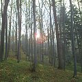 Mój pobyt w Iwoniczu Zdroju 2013 10 20 do 2013 11 13 #IwoniczZdrój