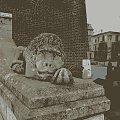 pilnuję dzielnie wieży ratuszowej na Rynku :)