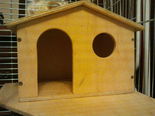 #domek #klatka #szczury