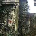 Cmentarz żydowski w Zabrzu. #CmentarzŻydowskiWZabrzu #kirkuty #Zabrze #Hindenburg #Zobrze