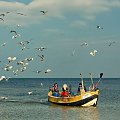 Powrót z połowu na Zatoce Gdańskiej - mewy wiedzą czy warto towarzyszyć rybakom #morze #kuter #połów #powrót #mewy