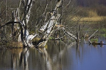 DROGA DO WIOSNY #Droga #wiosna #WojciechWrzesień #Fotosik #Fotmart #DzikaPolska #wojtekwrzesień #WMoimObiektywie