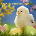 Serdeczne życzenia smacznego jajka, mokrego dyngusa oraz pełnych wiosennej nadziei i radości Świąt Wielkanocnych !