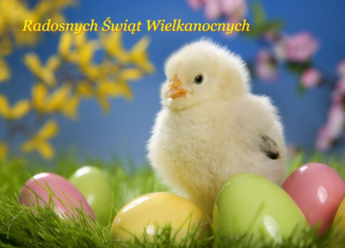 Serdeczne życzenia smacznego jajka, mokrego dyngusa oraz pełnych wiosennej nadziei i radości Świąt Wielkanocnych !