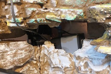 #hoya #hydroponika #paludarium #rośliny